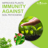 Go Garden Trichoderma Bio Fungicide for plants (2 x 10^8 CFU per Gram) Bio Fungicide - Prevents Fungal and Bacterial Diseases in Plants 400 G