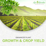 Go Garden Trichoderma Bio Fungicide for plants (2 x 10^8 CFU per Gram) Bio Fungicide - Prevents Fungal and Bacterial Diseases in Plants 400 G